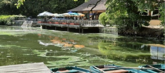 5غرفة قلاع في Parnoy-en-Bassigny, France رقم 54563 13