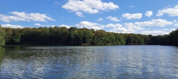 5غرفة قلاع في Parnoy-en-Bassigny, France رقم 54563 9