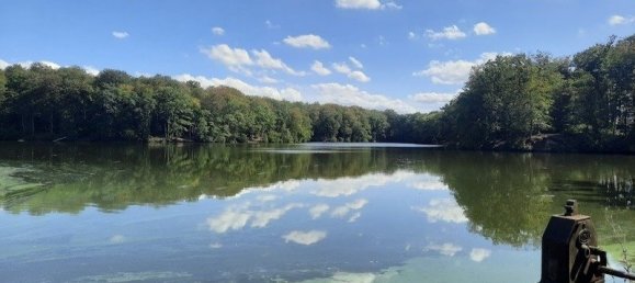 5غرفة قلاع في Parnoy-en-Bassigny, France رقم 54563 10