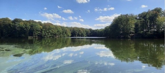 5غرفة قلاع في Parnoy-en-Bassigny, France رقم 54563 11