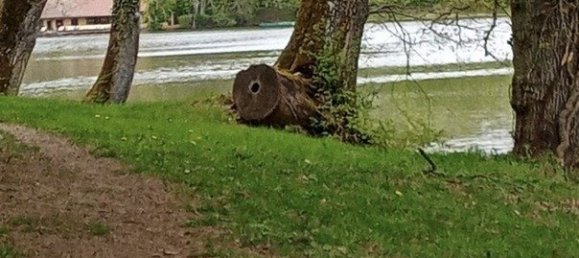 5غرفة قلاع في Parnoy-en-Bassigny, France رقم 54563 3