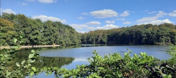 5غرفة قلاع في Parnoy-en-Bassigny, France رقم 54563 12