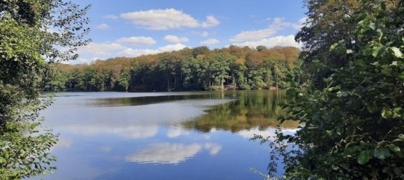 5غرفة قلاع في Parnoy-en-Bassigny, France رقم 54563 5