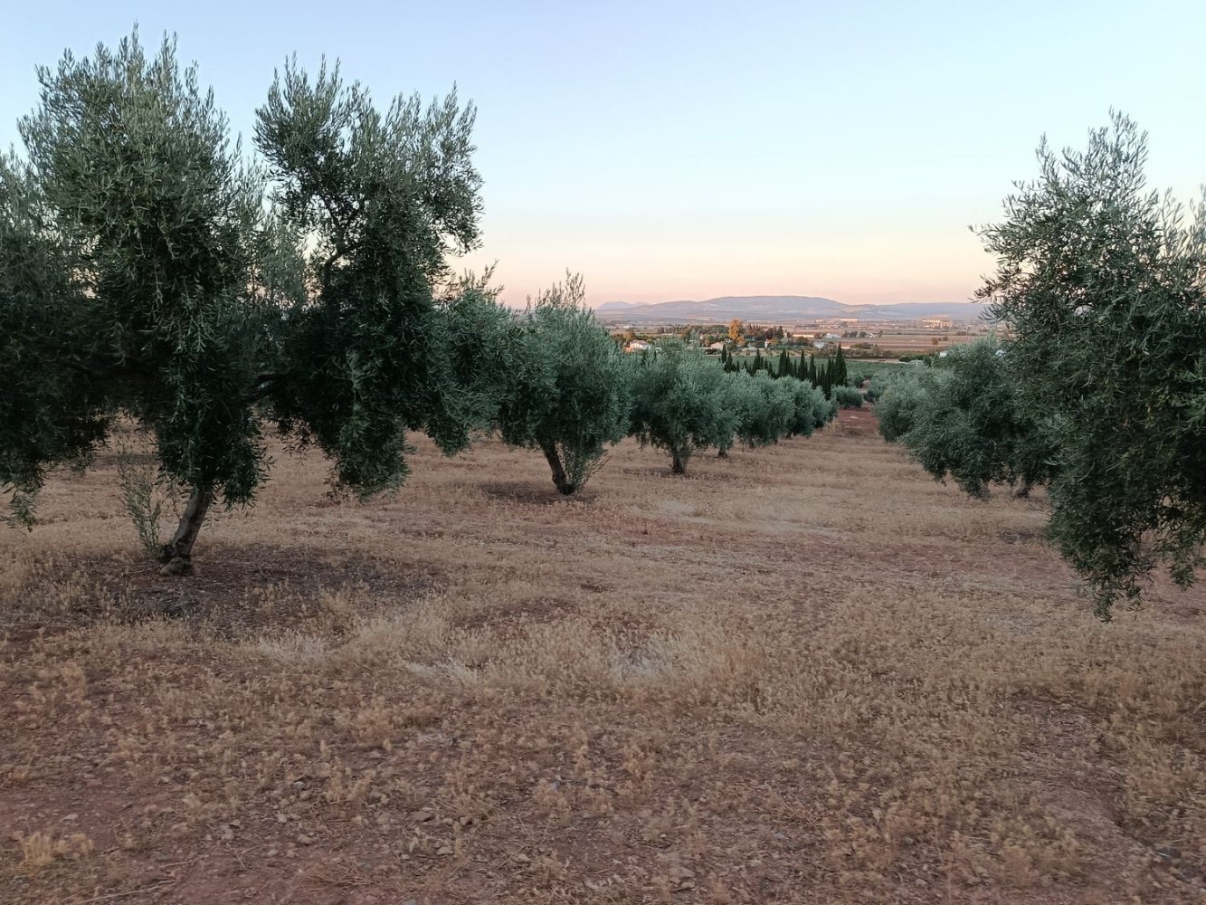  Land in Antequera, Spain No. 245416