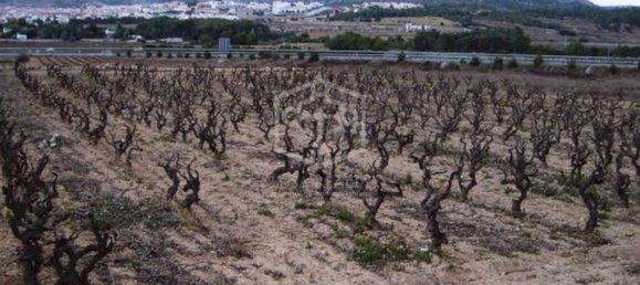 15 غرف نوم منزل في Sitges, Spain رقم 7377 22