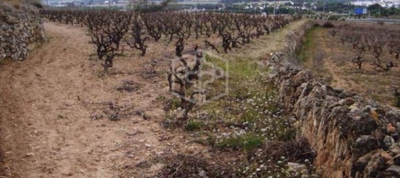 15 غرف نوم منزل في Sitges, Spain رقم 7377 20