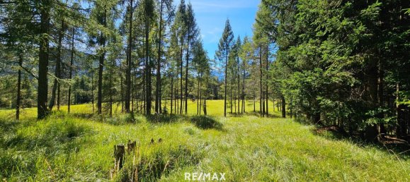 42189m² Land in Leutasch, Austria No. 257773 5