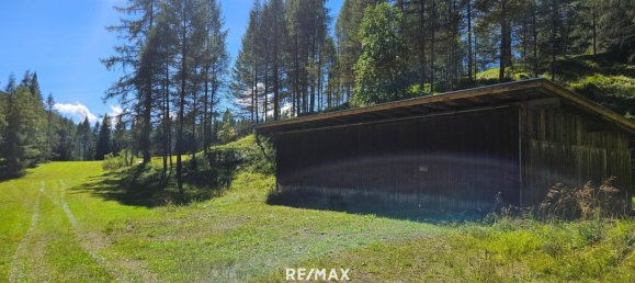 42189m² Land in Leutasch, Austria No. 257773 3
