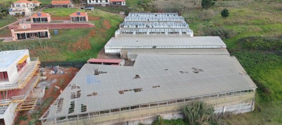 5000m² Land in Calheta, Portugal No. 109574 4