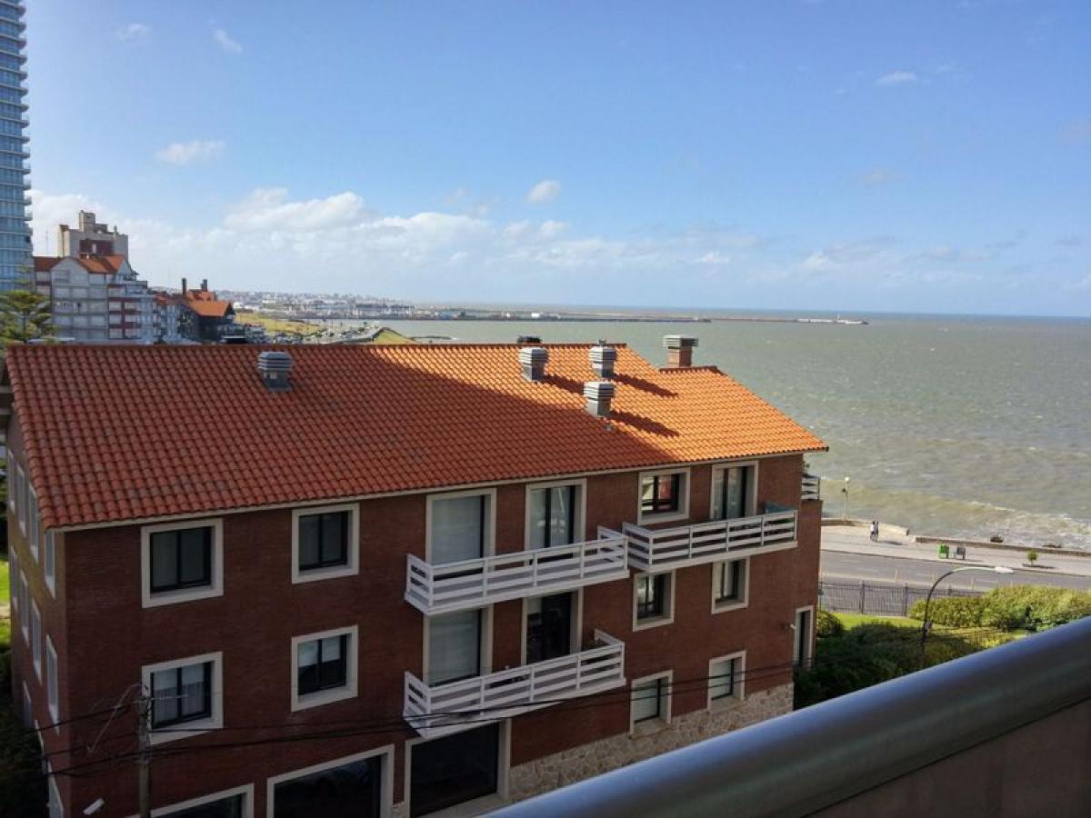 Studio in Mar del Plata, Argentina, Nr. 98102