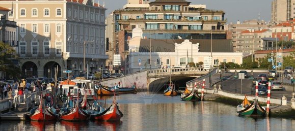 Propriété commerciale à Aveiro, Portugal 160m² No. 71786 4