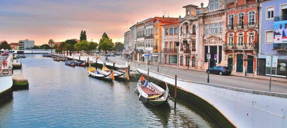 Propriété commerciale à Aveiro, Portugal 160m² No. 71786 8