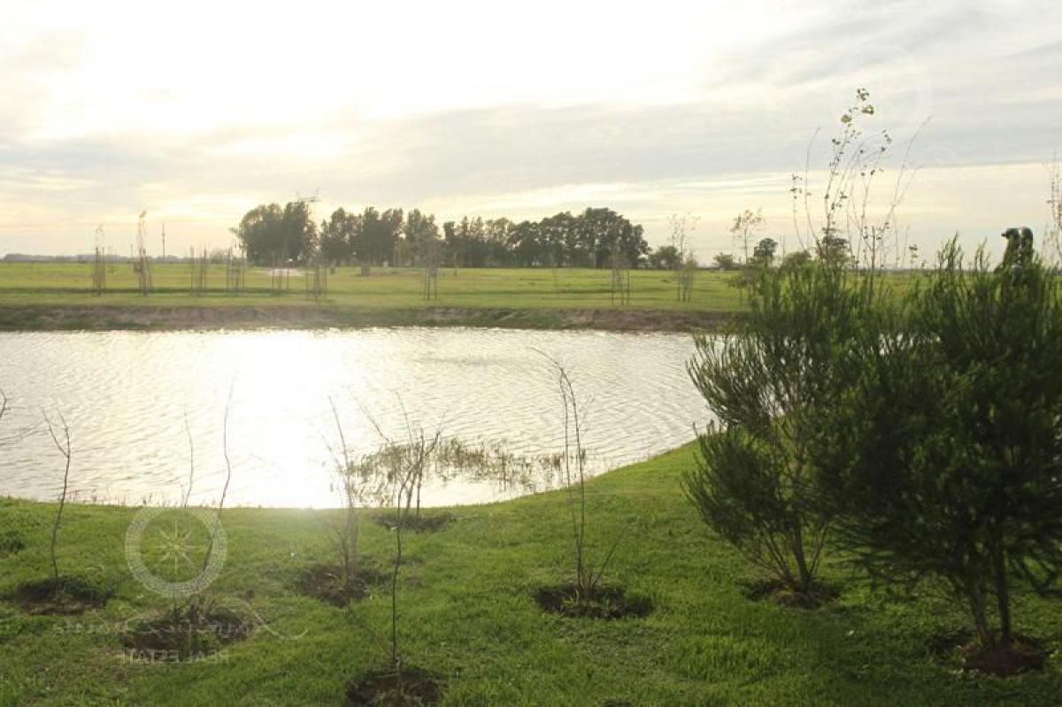  Land in Esteban Echeverria, Argentina No. 49625