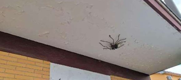 Apartamento de 3 divisões em Ardea, Italy N.º 25910 18