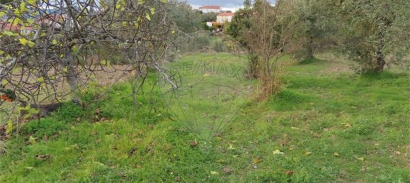 3 bedrooms House in Castelo Branco, Portugal No. 182001 20