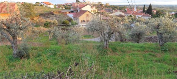 3 bedrooms House in Castelo Branco, Portugal No. 182001 2
