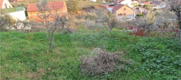 3 bedrooms House in Castelo Branco, Portugal No. 182001 47