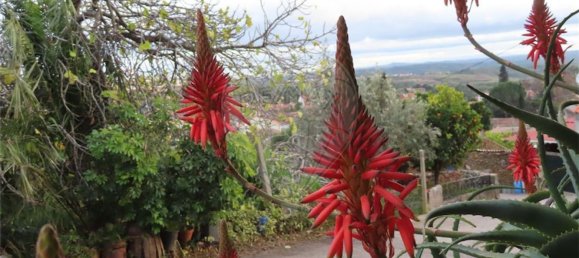 3 bedrooms House in Castelo Branco, Portugal No. 182001 11