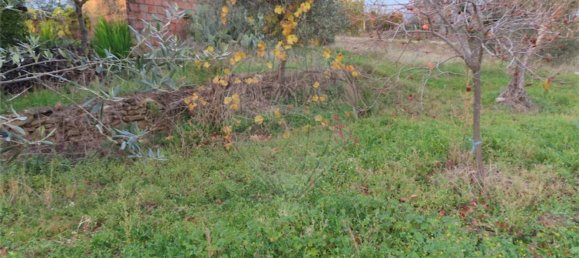 3 bedrooms House in Castelo Branco, Portugal No. 182001 3