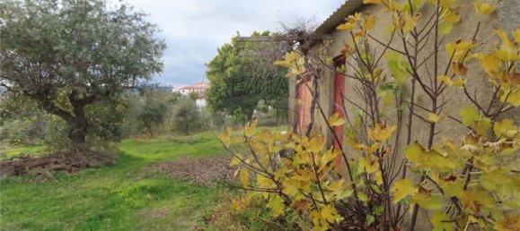 3 bedrooms House in Castelo Branco, Portugal No. 182001 15