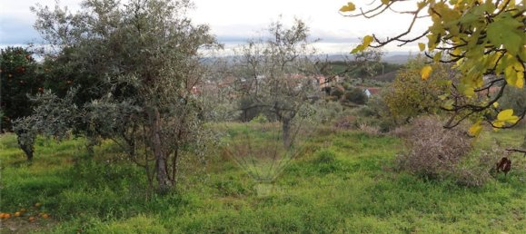 3 bedrooms House in Castelo Branco, Portugal No. 182001 19