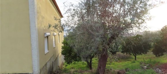 3 bedrooms House in Castelo Branco, Portugal No. 182001 14