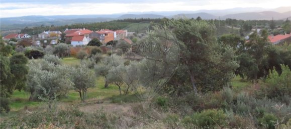 3 bedrooms House in Castelo Branco, Portugal No. 182001 5