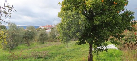 3 bedrooms House in Castelo Branco, Portugal No. 182001 16