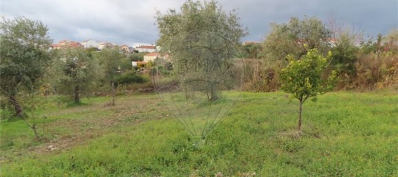 3 bedrooms House in Castelo Branco, Portugal No. 182001 18