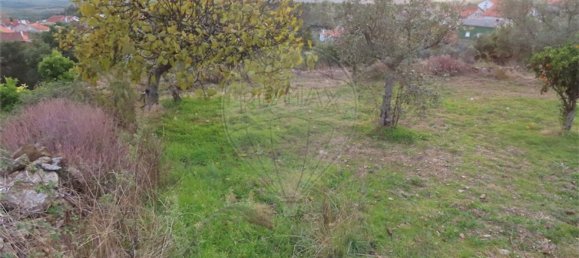 3 bedrooms House in Castelo Branco, Portugal No. 182001 21