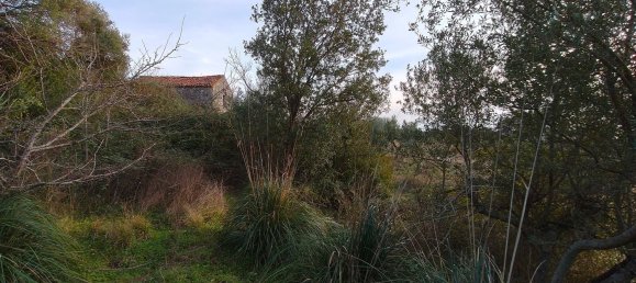 3-Zimmer Villa in Santa Domenica Talao, Italy, Nr. 252066 13