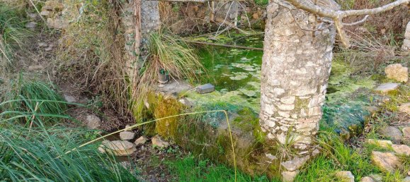 3-Zimmer Villa in Santa Domenica Talao, Italy, Nr. 252066 10