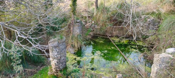 3-Zimmer Villa in Santa Domenica Talao, Italy, Nr. 252066 11