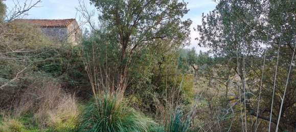 3-Zimmer Villa in Santa Domenica Talao, Italy, Nr. 252066 12