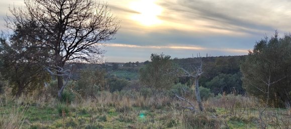 3-Zimmer Villa in Santa Domenica Talao, Italy, Nr. 252066 8