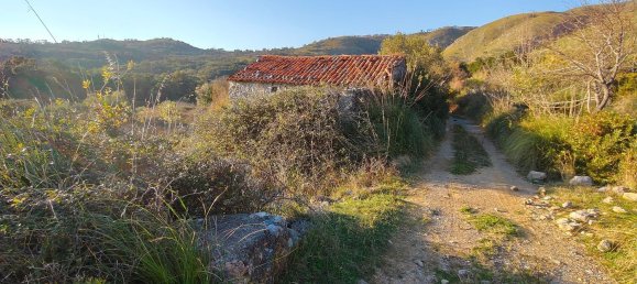 3-Zimmer Villa in Santa Domenica Talao, Italy, Nr. 252066 29