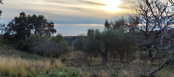 3-Zimmer Villa in Santa Domenica Talao, Italy, Nr. 252066 5