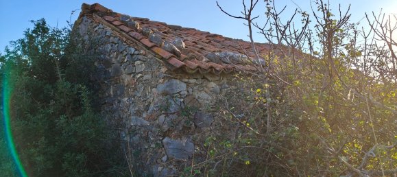 3-Zimmer Villa in Santa Domenica Talao, Italy, Nr. 252066 30