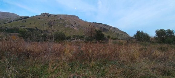 3-Zimmer Villa in Santa Domenica Talao, Italy, Nr. 252066 14