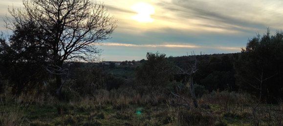 3-Zimmer Villa in Santa Domenica Talao, Italy, Nr. 252066 6