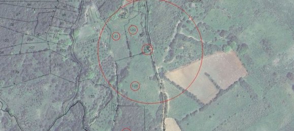 3-Zimmer Villa in Santa Domenica Talao, Italy, Nr. 252066 17