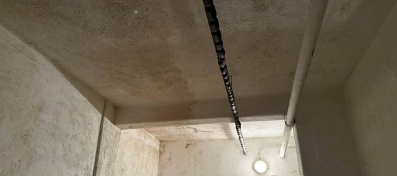 2 rooms Commercial property in Rome, Italy No. 379856 13