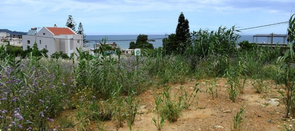  فندق في Chania, Greece 1100متر مربع رقم 4843 7