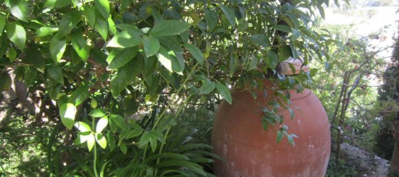 4 Schlafzimmer Villa in Benissa, Spain, Nr. 1586 4