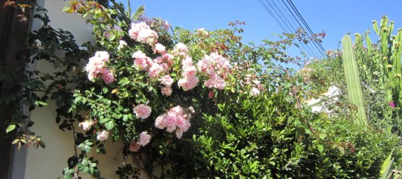 4 Schlafzimmer Villa in Benissa, Spain, Nr. 1586 9