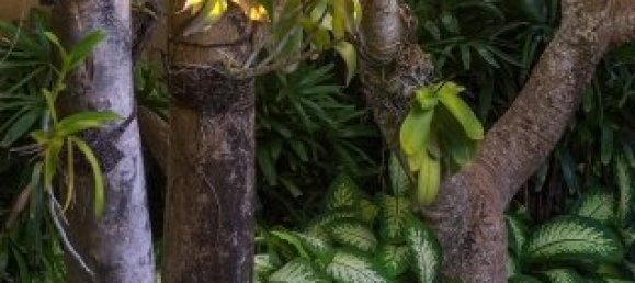 2 dormitorios villa en alquiler en Seminyak, Badung, Bali, Indonesia № 3201 13