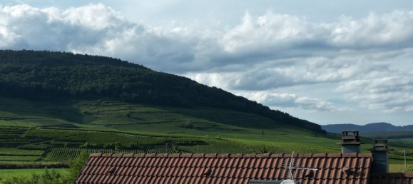 3 غرف نوم منزل في Issenheim, France رقم 242745 12