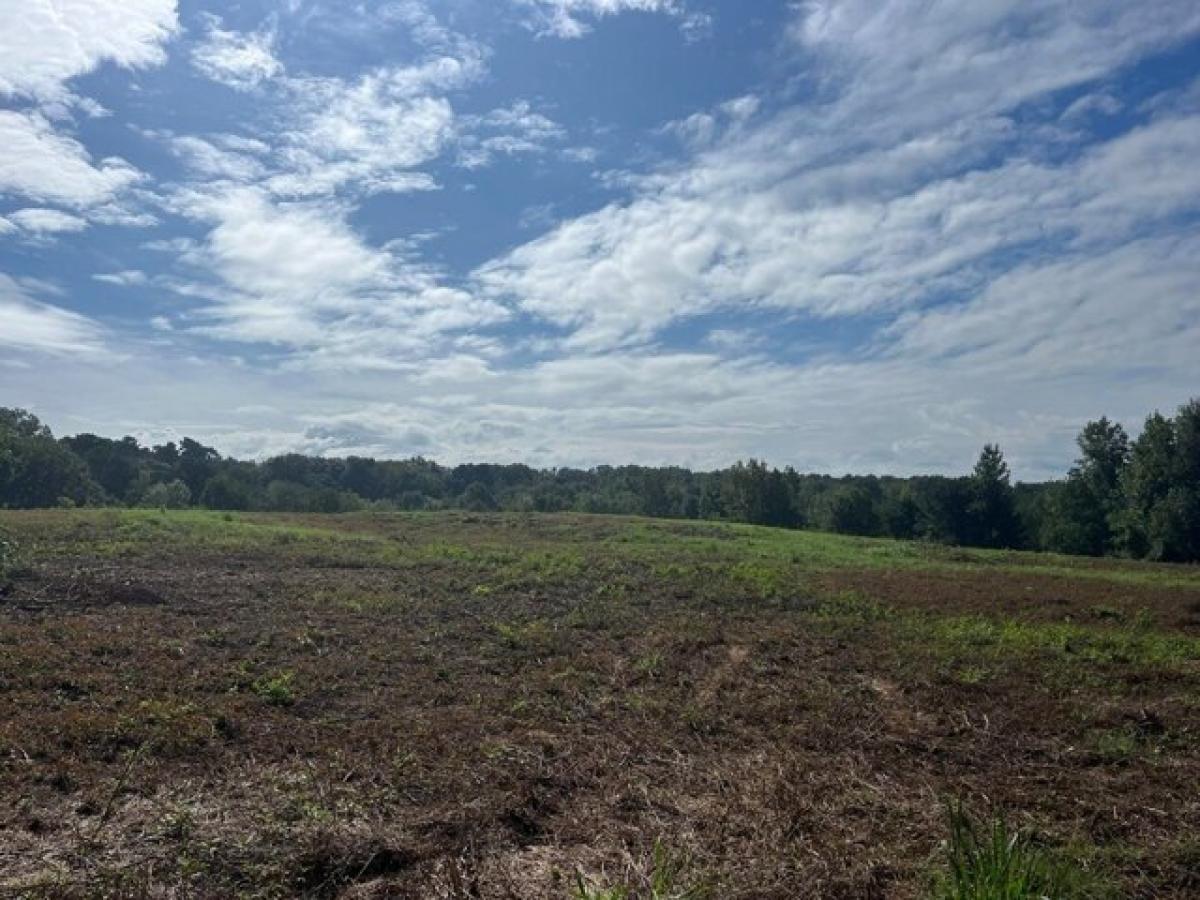 Grundstück in San Augustine, USA, Nr. 474124