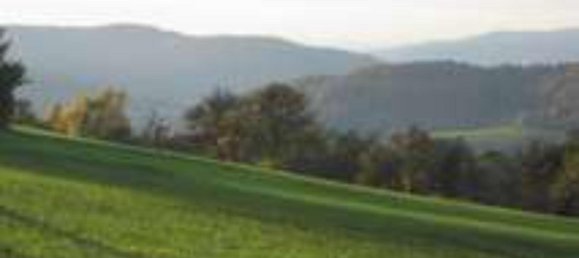 Terrain à Ostalbkreis, Germany No. 338946 4