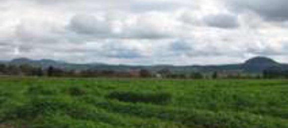 Terrain à Ostalbkreis, Germany No. 338946 2